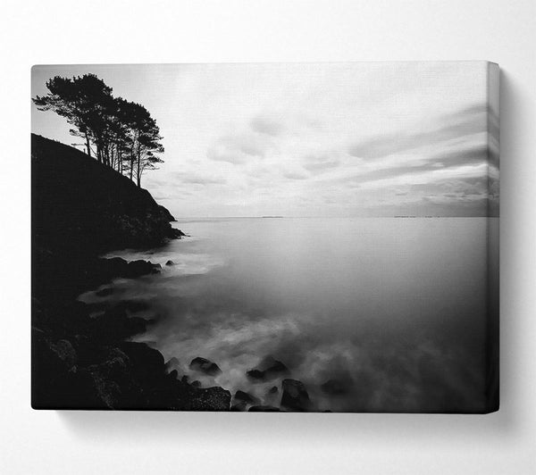  A Canvas Print of Tree Top Ocean Calm B n W Canvas Print