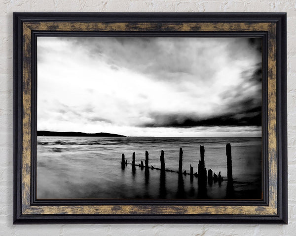 The Path To The Ocean B n W Framed Print