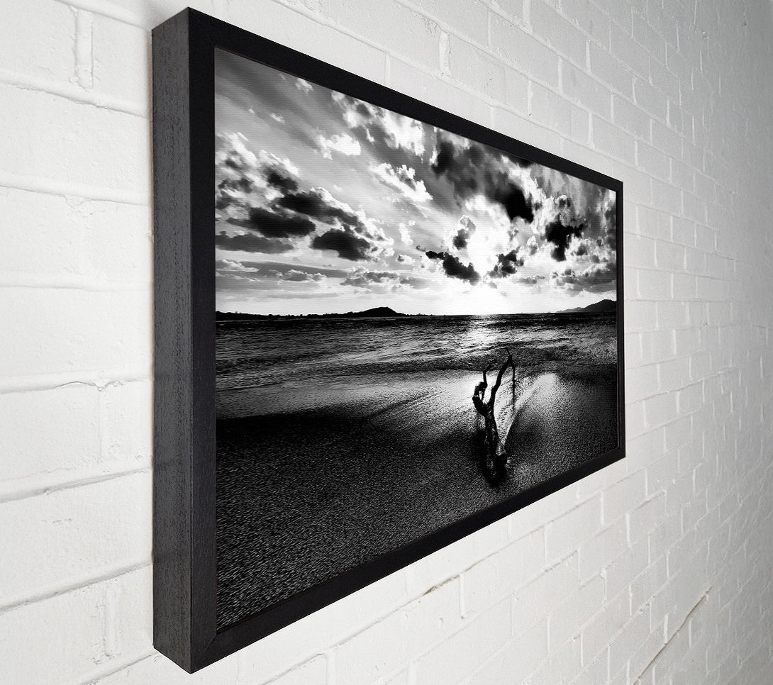  A Canvas Print of Driftwood B n W Canvas Print
