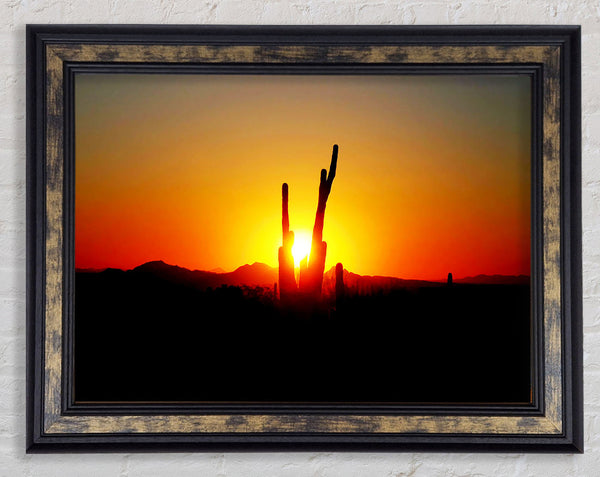 Red Cactus Sunrise Framed Print