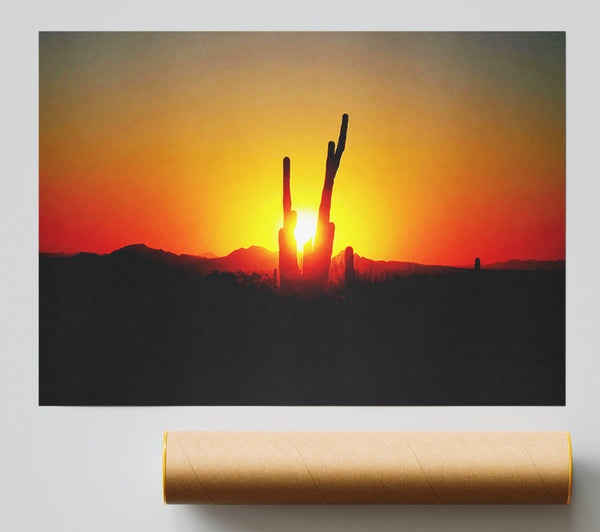 Red Cactus Sunrise Giclee Print