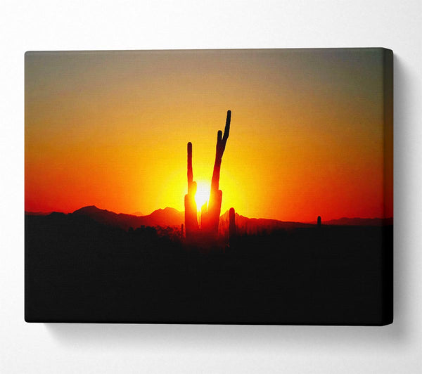  A Canvas Print of Red Cactus Sunrise Canvas Art