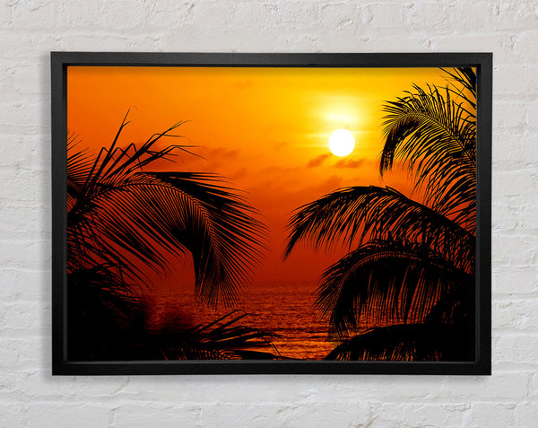 Orange Palmtree Sun Framed Print