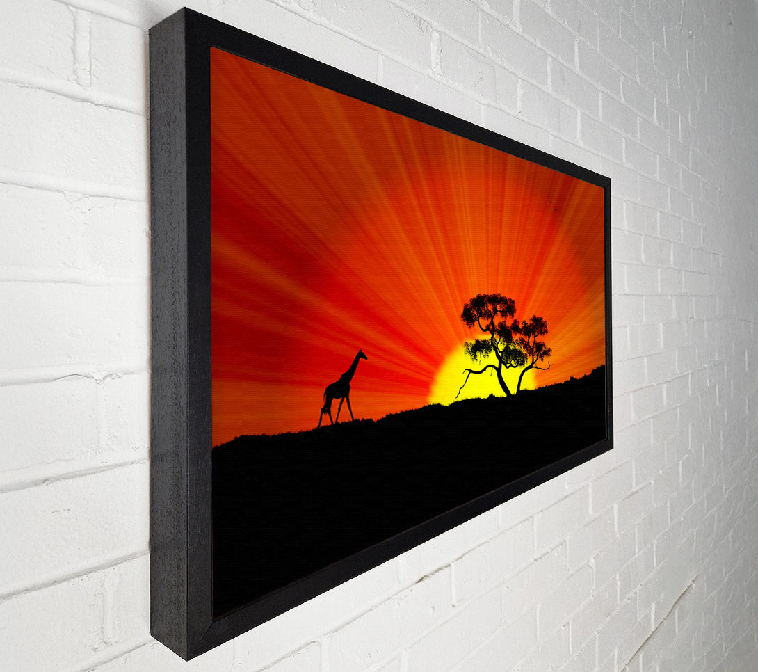  A Canvas Print of African Sunblaze Canvas Art