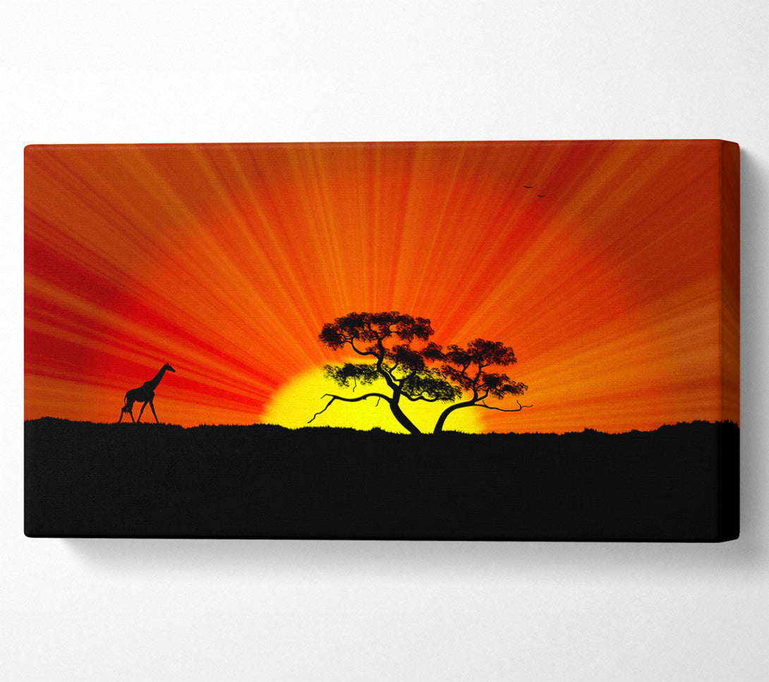  A Canvas Print of African Sunblaze Canvas Art