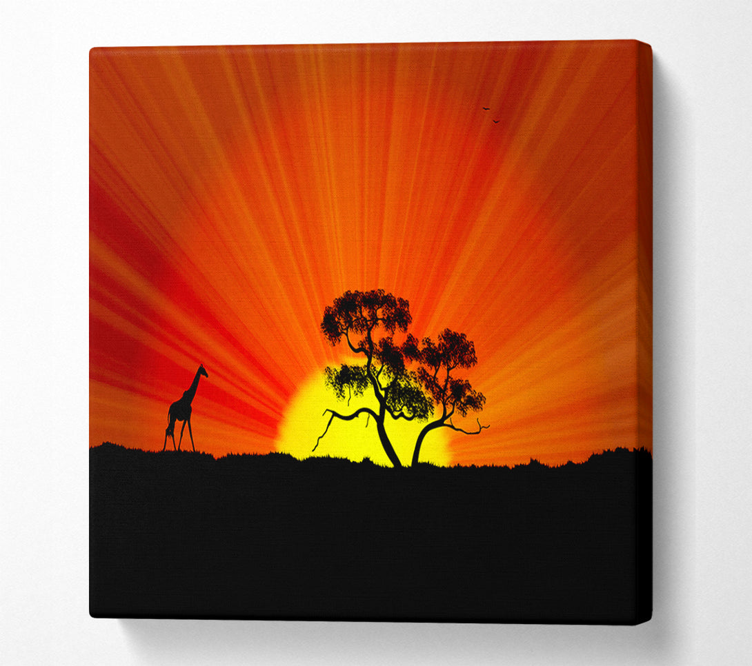  A Canvas Print of African Sunblaze Canvas Art