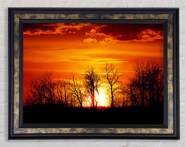 Orange Sunset Treeline Framed Print