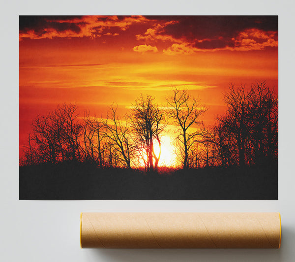 Orange Sunset Treeline Giclee Print