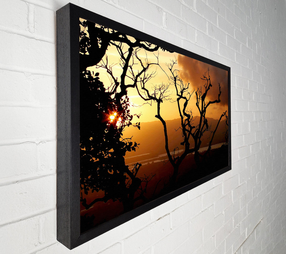 A Canvas Print of Caramel Tree Morning Canvas Print