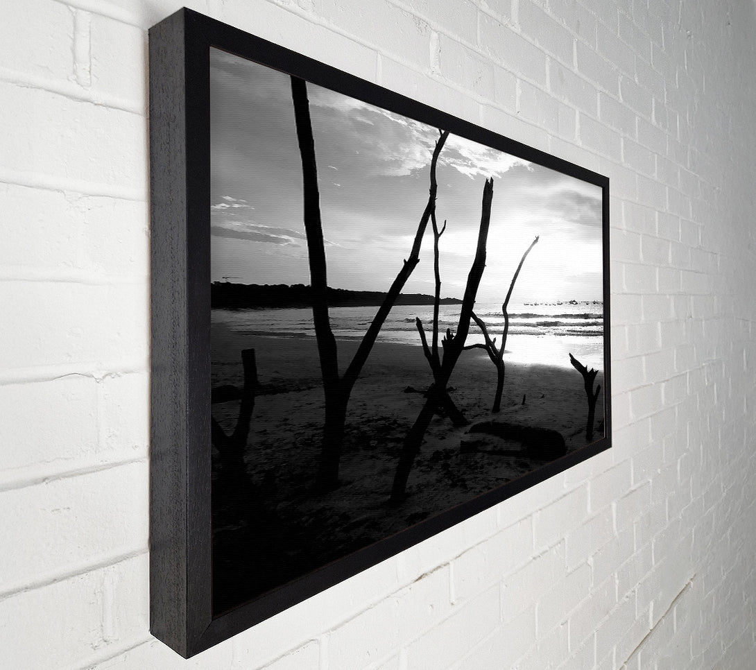 A Canvas Print of Driftwood Beach B n W Canvas Print