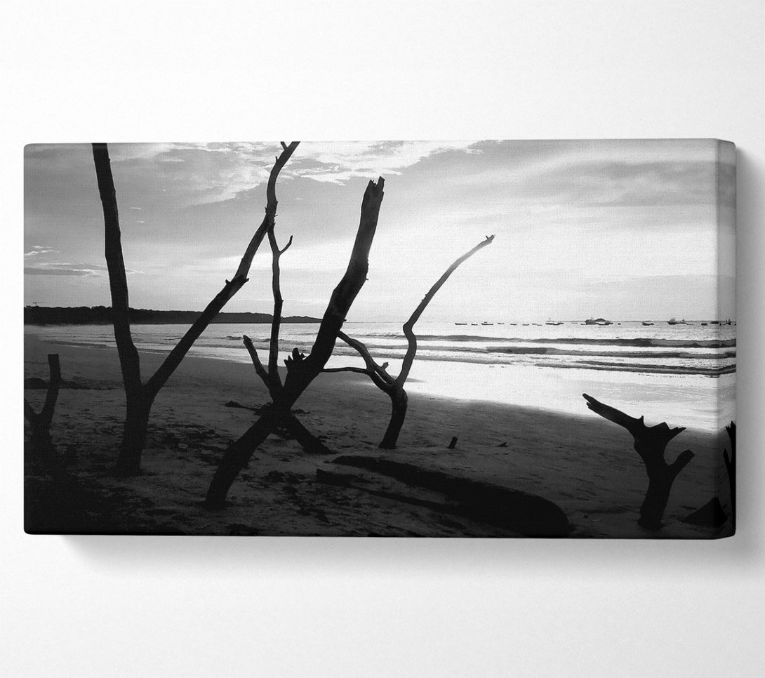  A Canvas Print of Driftwood Beach B n W Canvas Print