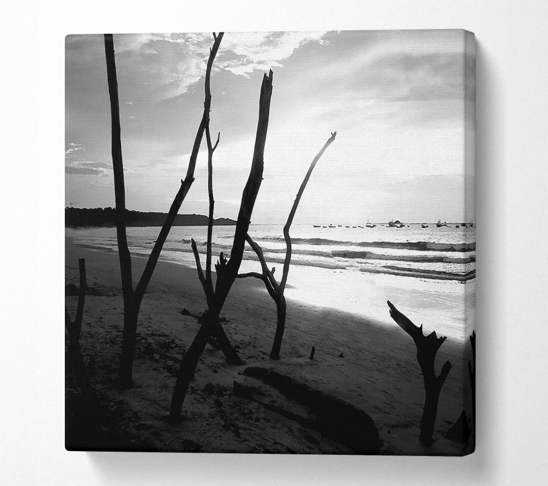  A Canvas Print of Driftwood Beach B n W Canvas Print