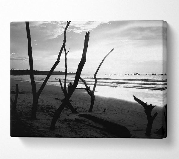  A Canvas Print of Driftwood Beach B n W Canvas Print