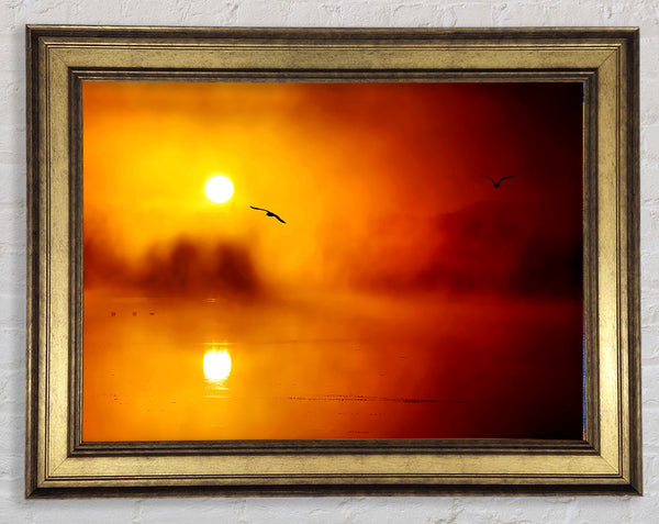 Birds Over The Golden Misty Lake Framed Print