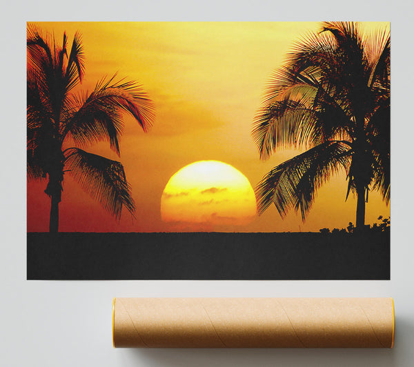 Palmtree Sunset Print