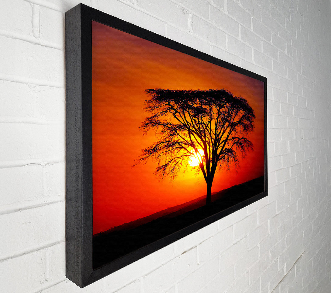  A Canvas Print of Sunset Through The Trees Canvas Wall Art