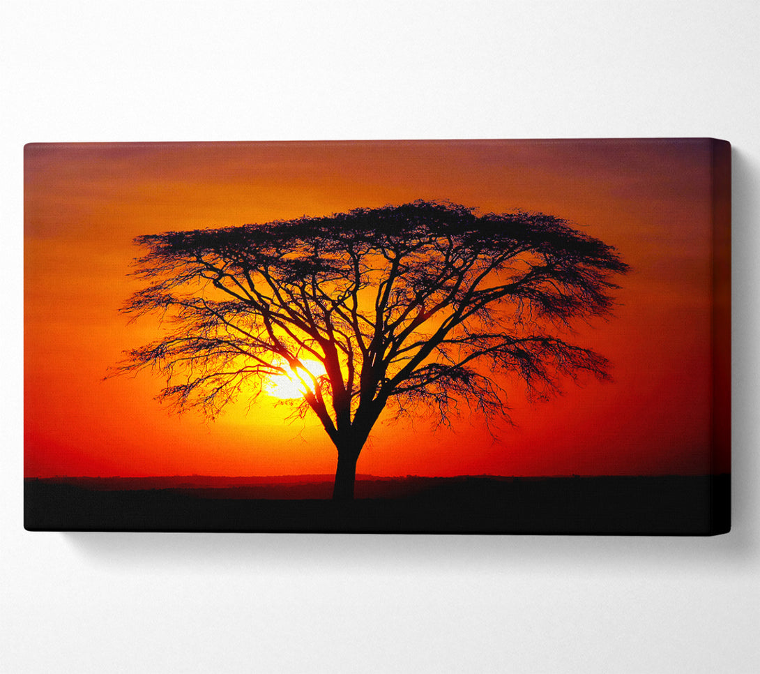  A Canvas Print of Sunset Through The Trees Canvas Wall Art