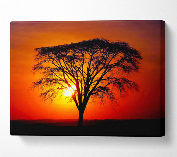  A Canvas Print of Sunset Through The Trees Canvas Wall Art