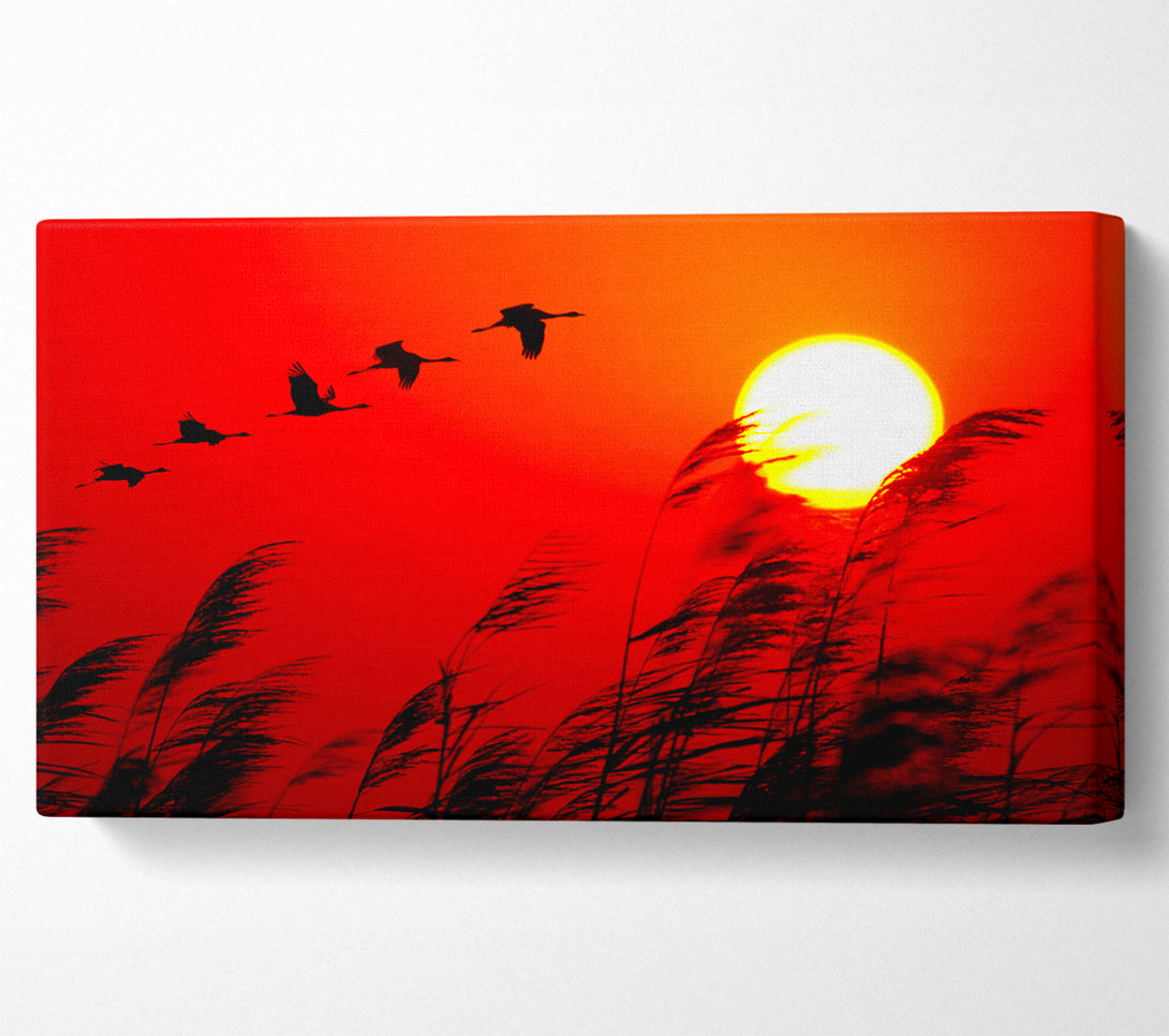  A Canvas Print of Geese In Flight Under The Red Sun Canvas Print