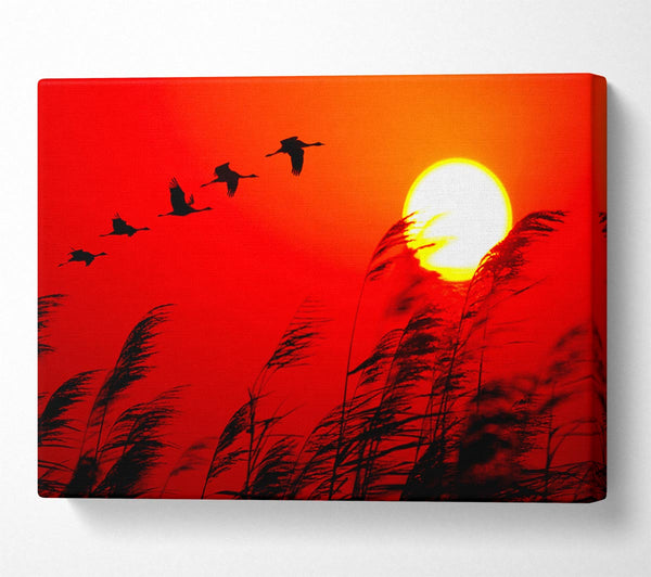  A Canvas Print of Geese In Flight Under The Red Sun Canvas Print