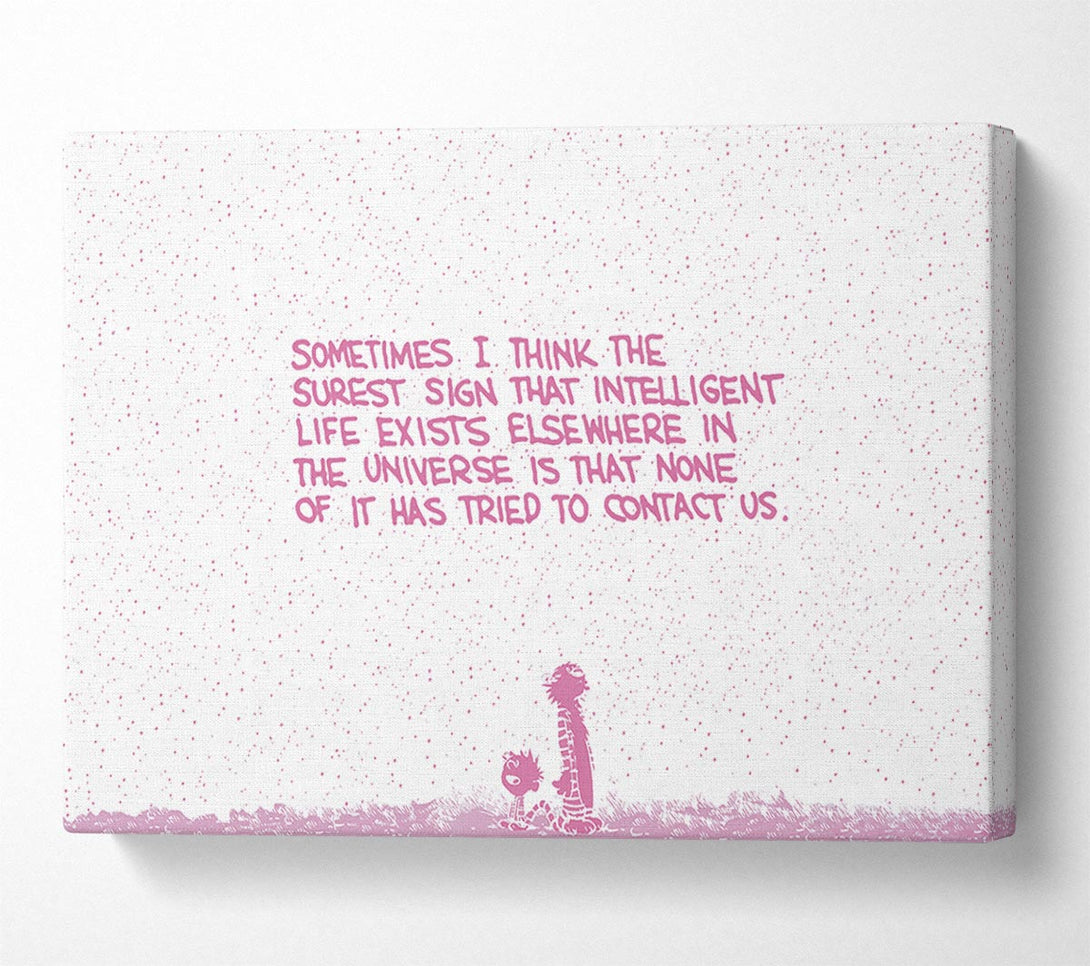  A Canvas Print of Funny Quote Sometimes I Think The Surest Sign Pink Canvas Art