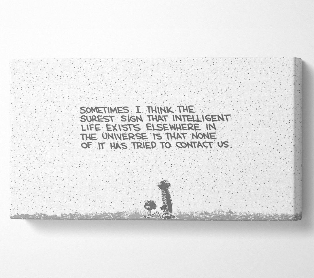  A Canvas Print of Funny Quote Sometimes I Think The Surest Sign Grey Canvas Art