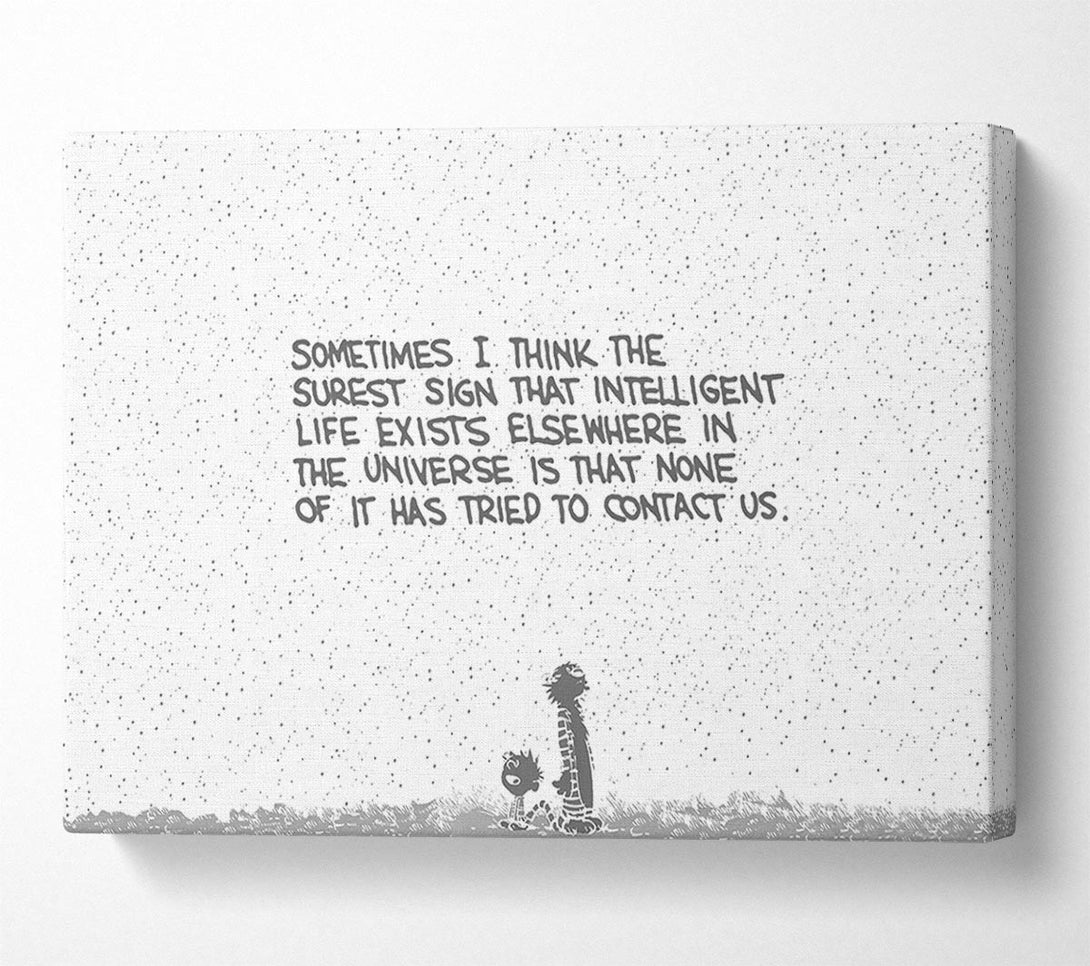  A Canvas Print of Funny Quote Sometimes I Think The Surest Sign Grey Canvas Art