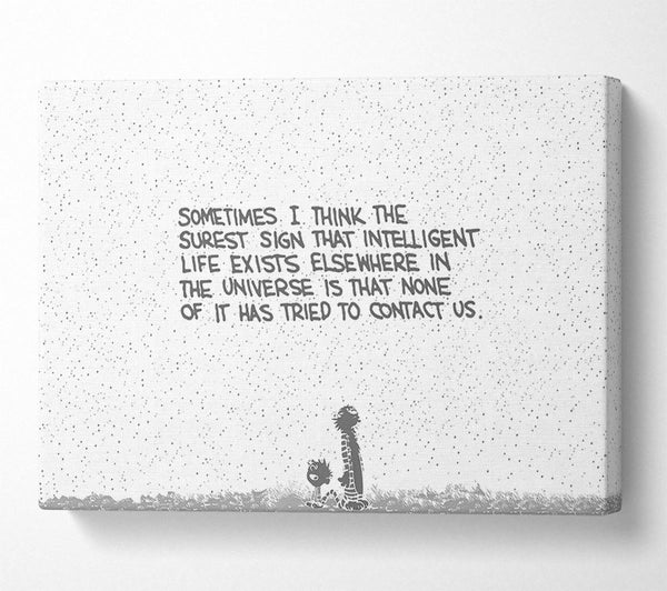  A Canvas Print of Funny Quote Sometimes I Think The Surest Sign Grey Canvas Art