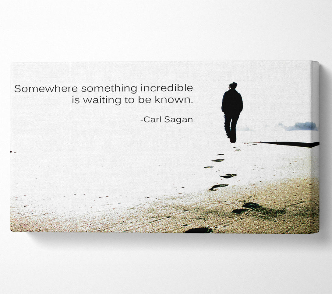  A Canvas Print of Motivational Quote Carl Sagan Somewhere Something Canvas Art