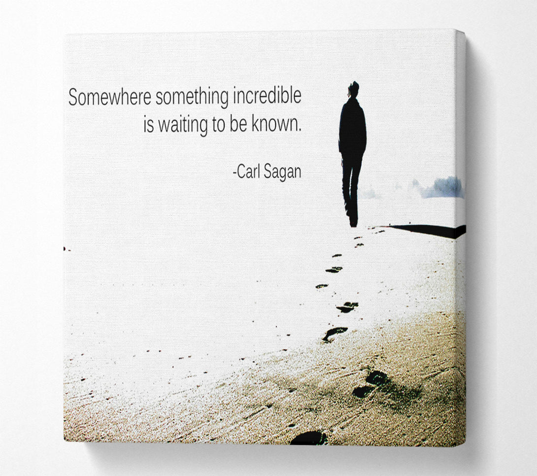  A Canvas Print of Motivational Quote Carl Sagan Somewhere Something Canvas Art