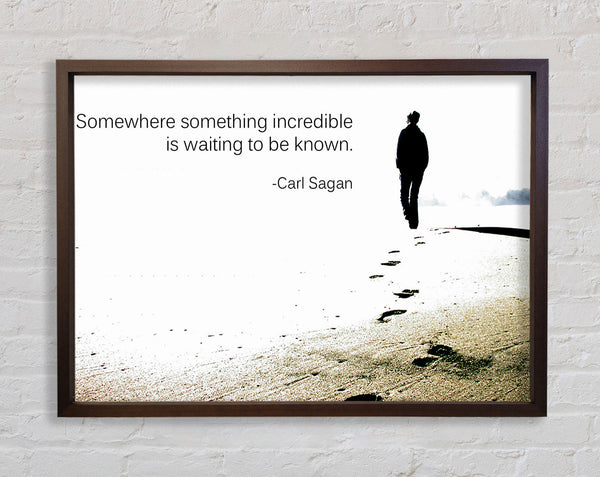Motivational Quote Carl Sagan Somewhere Something Framed Print