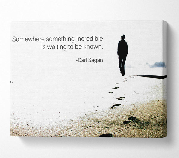  A Canvas Print of Motivational Quote Carl Sagan Somewhere Something Canvas Art