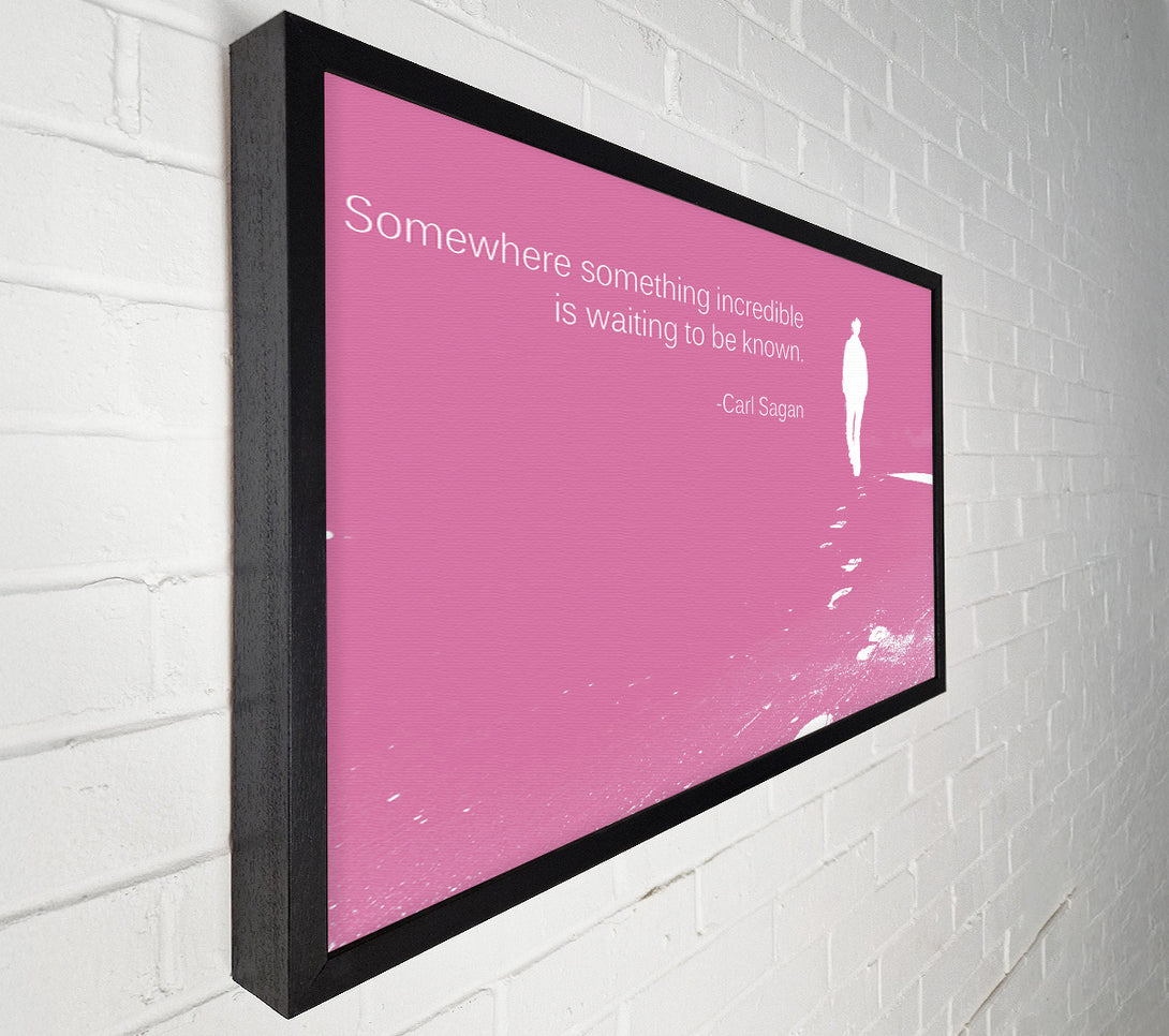  A Canvas Print of Carl Sagan Somewhere Something Pink Canvas Print