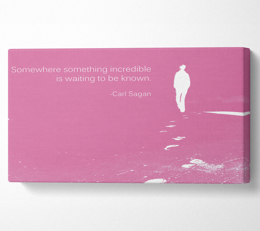  A Canvas Print of Carl Sagan Somewhere Something Pink Canvas Print