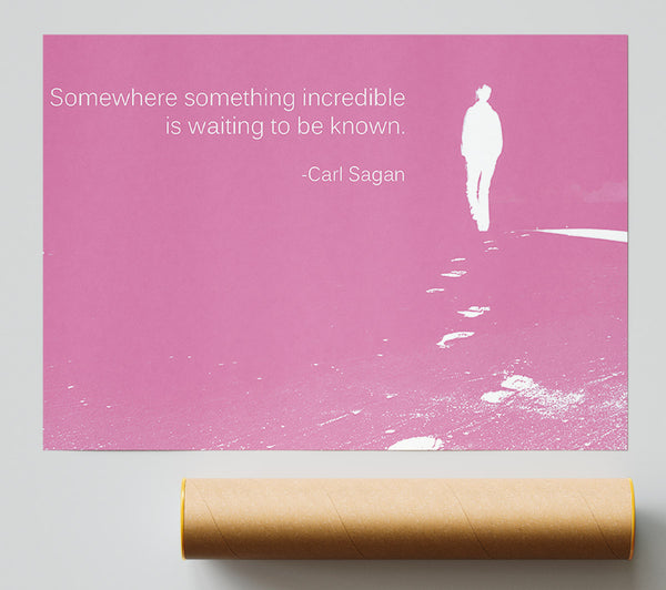 Carl Sagan Somewhere Something Pink Print
