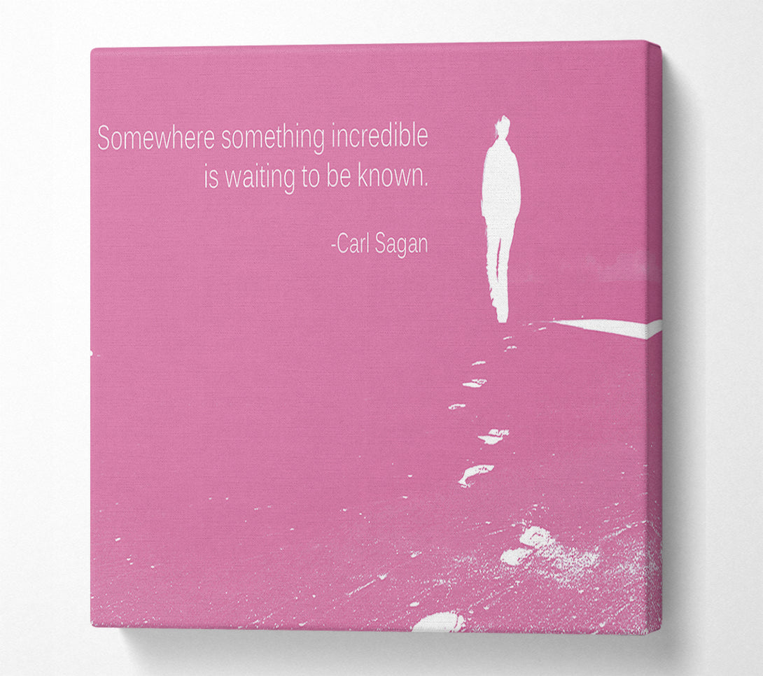  A Canvas Print of Carl Sagan Somewhere Something Pink Canvas Print