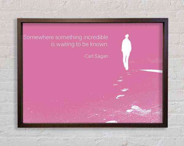 Carl Sagan Somewhere Something Pink Framed Print