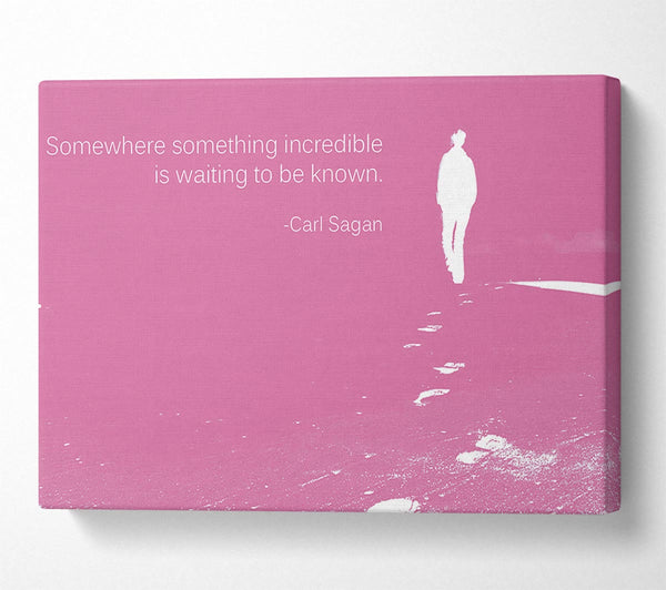  A Canvas Print of Carl Sagan Somewhere Something Pink Canvas Print