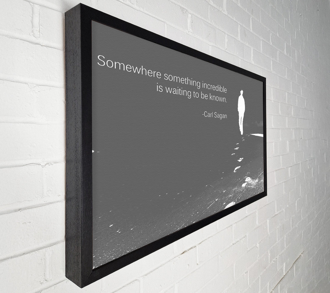  A Canvas Print of Carl Sagan Somewhere Something Grey Canvas Wall Art