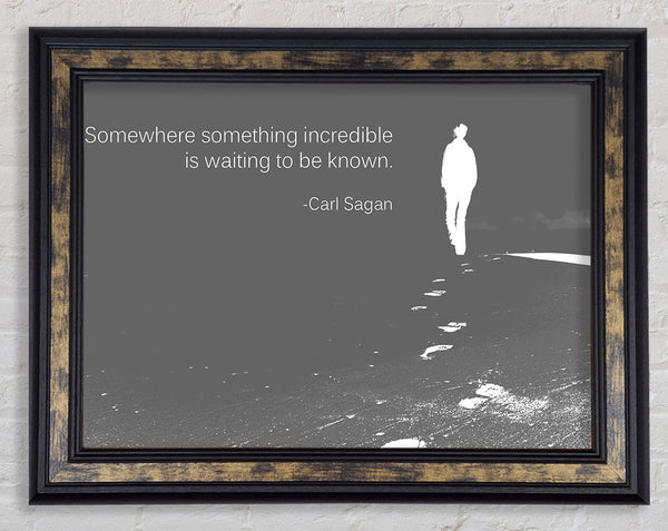Carl Sagan Somewhere Something Grey Framed Print
