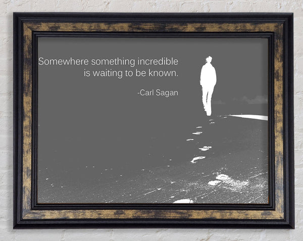 Carl Sagan Somewhere Something Grey Framed Print