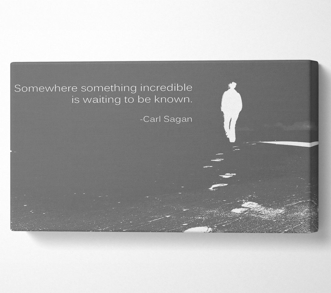  A Canvas Print of Carl Sagan Somewhere Something Grey Canvas Wall Art