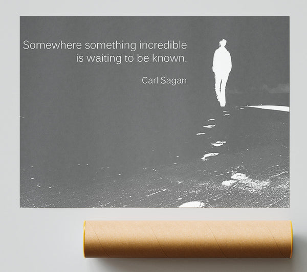 Carl Sagan Somewhere Something Grey Poster