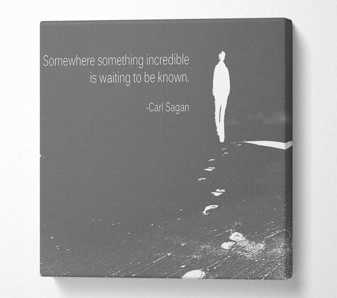  A Canvas Print of Carl Sagan Somewhere Something Grey Canvas Wall Art