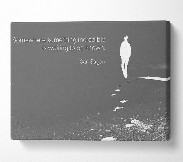  A Canvas Print of Carl Sagan Somewhere Something Grey Canvas Wall Art