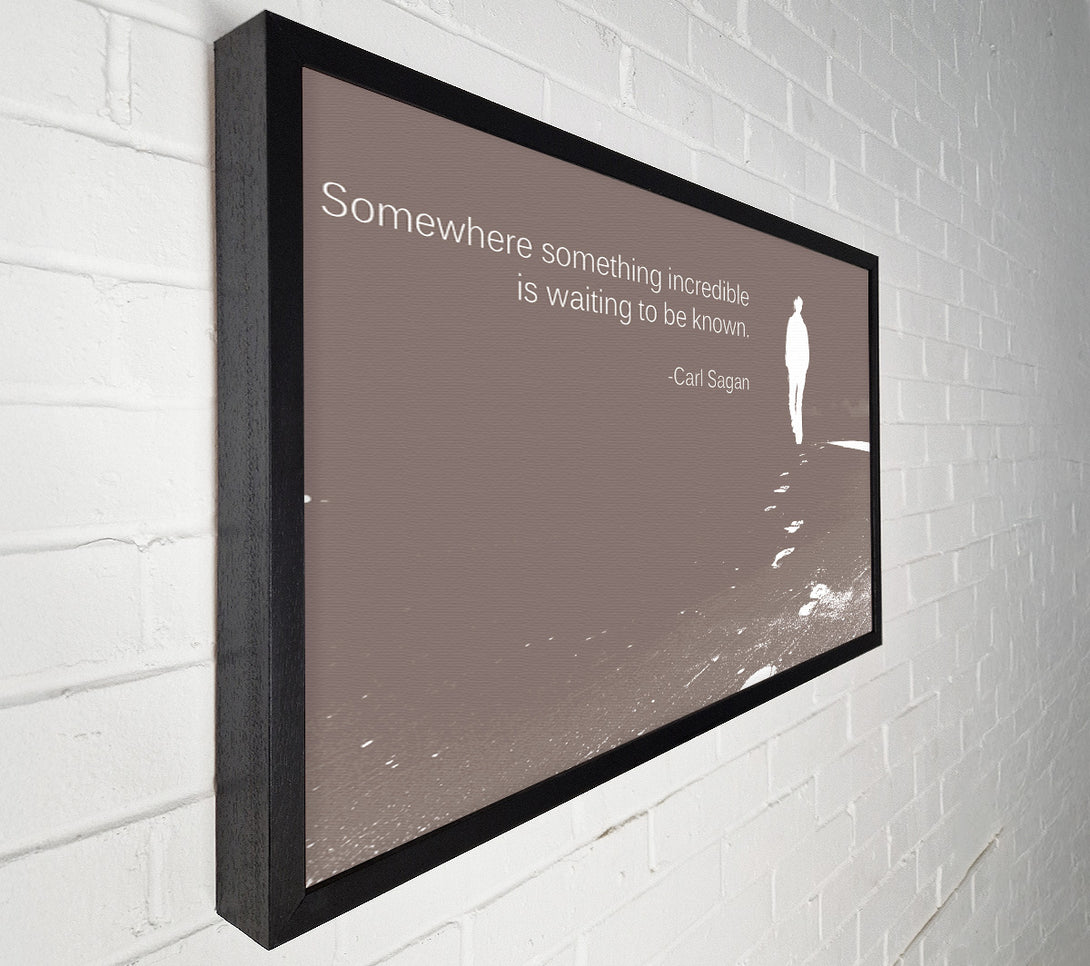  A Canvas Print of Carl Sagan Somewhere Something Beige Canvas Print