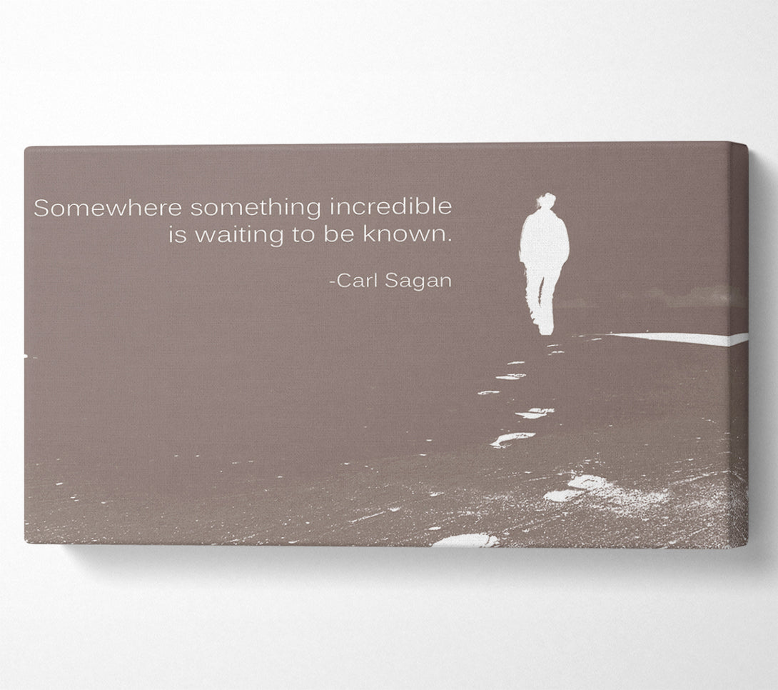  A Canvas Print of Carl Sagan Somewhere Something Beige Canvas Print