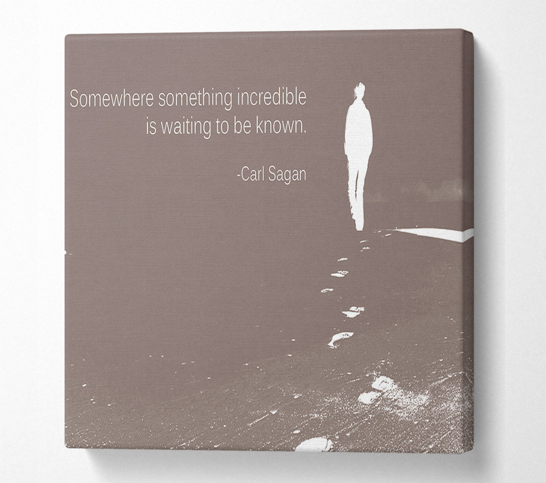  A Canvas Print of Carl Sagan Somewhere Something Beige Canvas Print