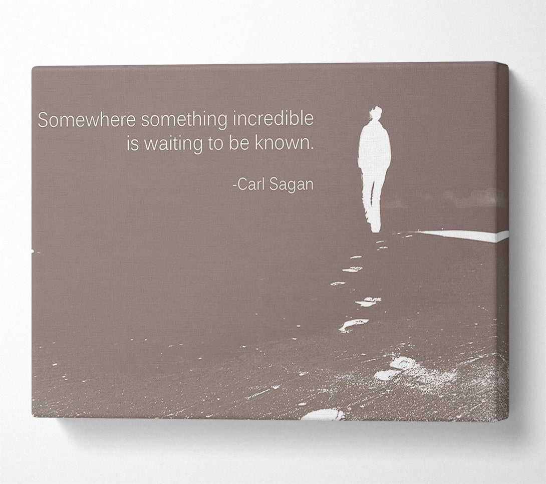 A Canvas Print of Carl Sagan Somewhere Something Beige Canvas Print