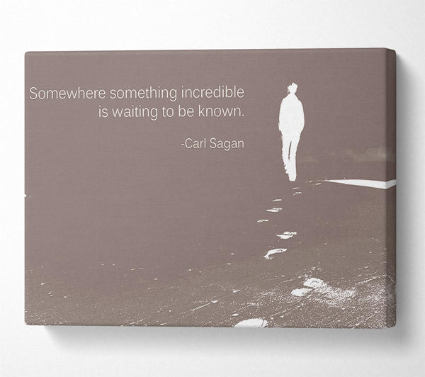  A Canvas Print of Carl Sagan Somewhere Something Beige Canvas Print